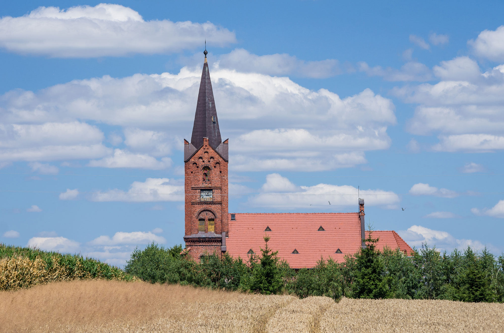 Niwnik, Olawa